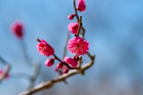 新年のごあいさつ