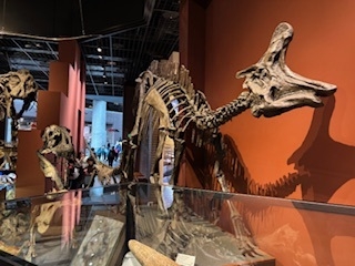 ライオンズクラブ国際協会330‐A地区「第2R第3Z台東区特別支援学級合同遠足」