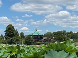 夏季営業日・休業日のお知らせ