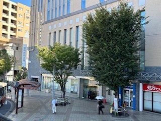 現地訪問～板橋区成増～