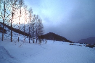 年末のご挨拶