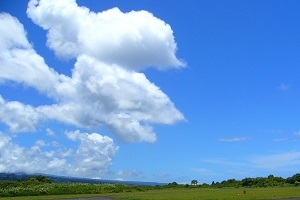 夏期休業日のお知らせ